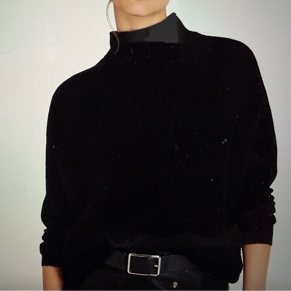Club Monaco Black Turtleneck Sweater